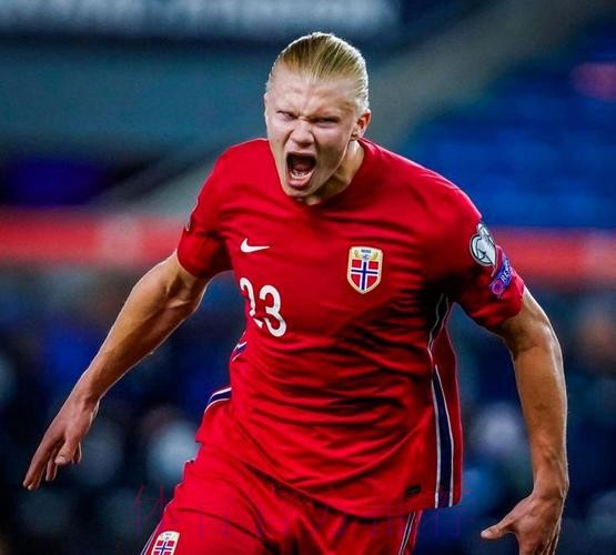 世界杯葡萄牙哈兰德比赛解读最新更新 世界杯葡萄牙哈兰德比赛解读最新更新